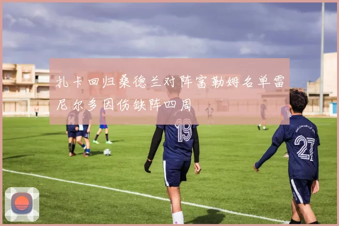 扎卡回归桑德兰对阵富勒姆名单雷尼尔多因伤缺阵四周