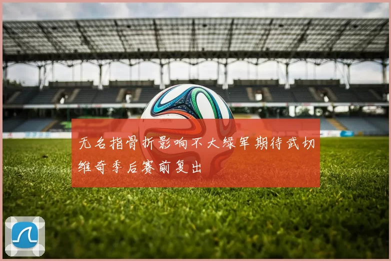 无名指骨折影响不大绿军期待武切维奇季后赛前复出