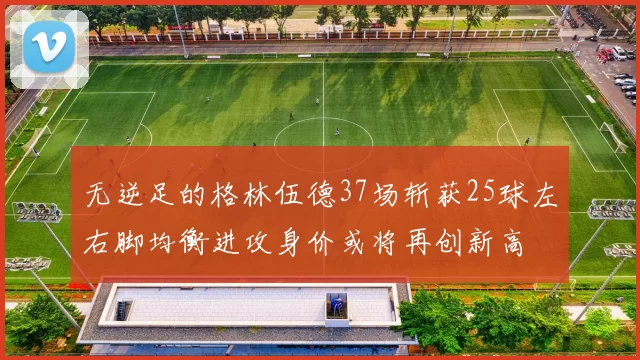 无逆足的格林伍德37场斩获25球左右脚均衡进攻身价或将再创新高