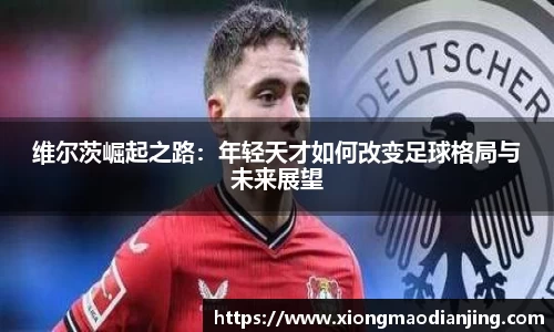 熊猫电竞官方正版